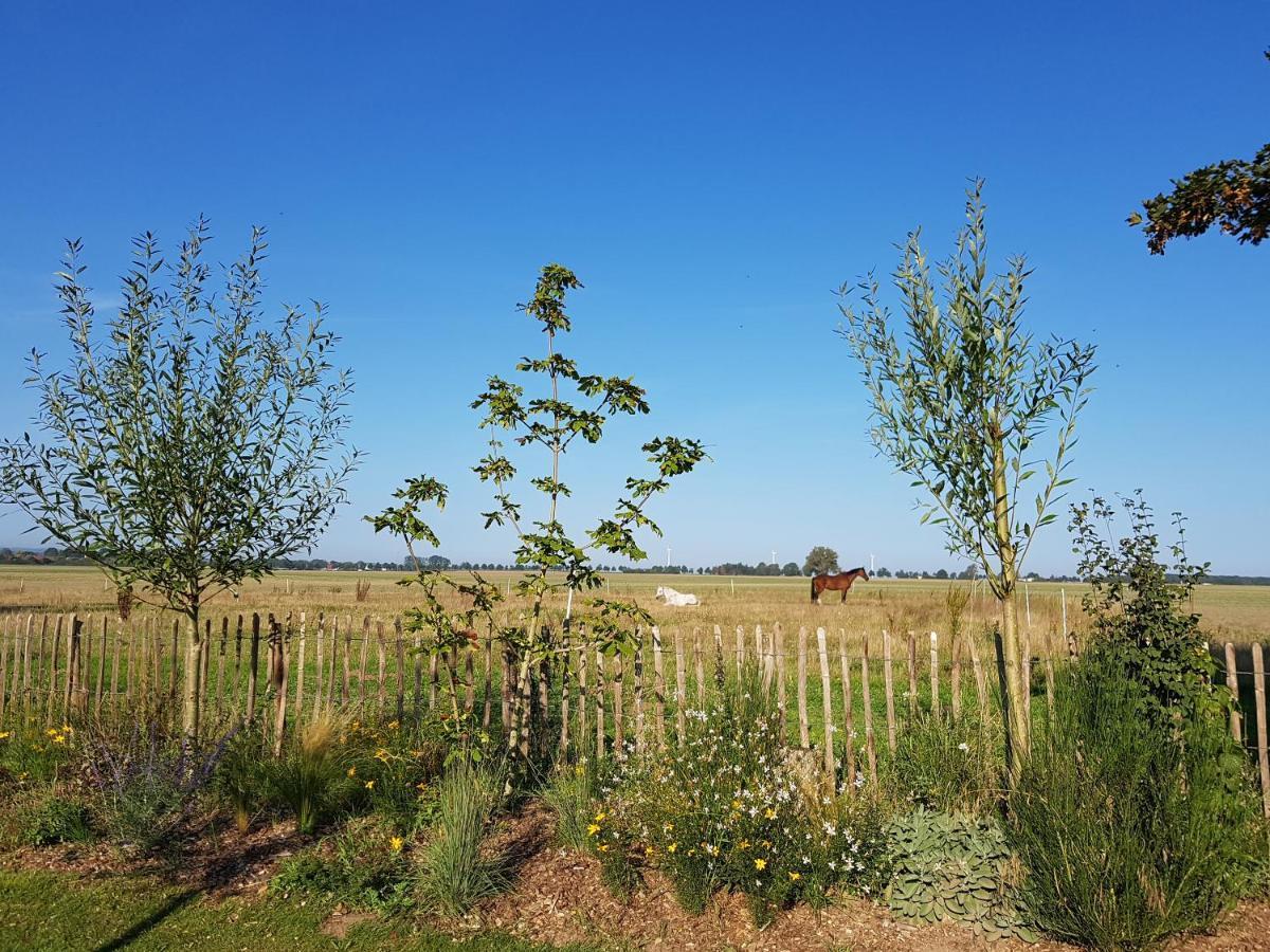Heimatliebe Ferienwohnung Börgerende-Rethwisch Buitenkant foto